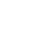 Circle vector